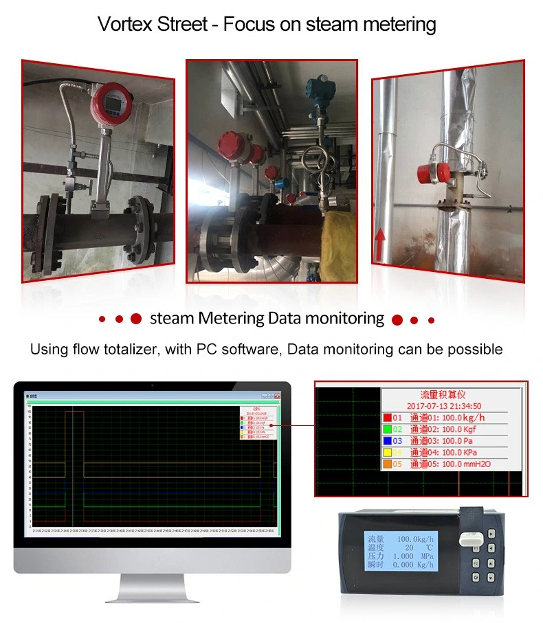 Vortex Type Flow Meter Oxygen Flowmeter with Humidifier Chemical Flow Meter