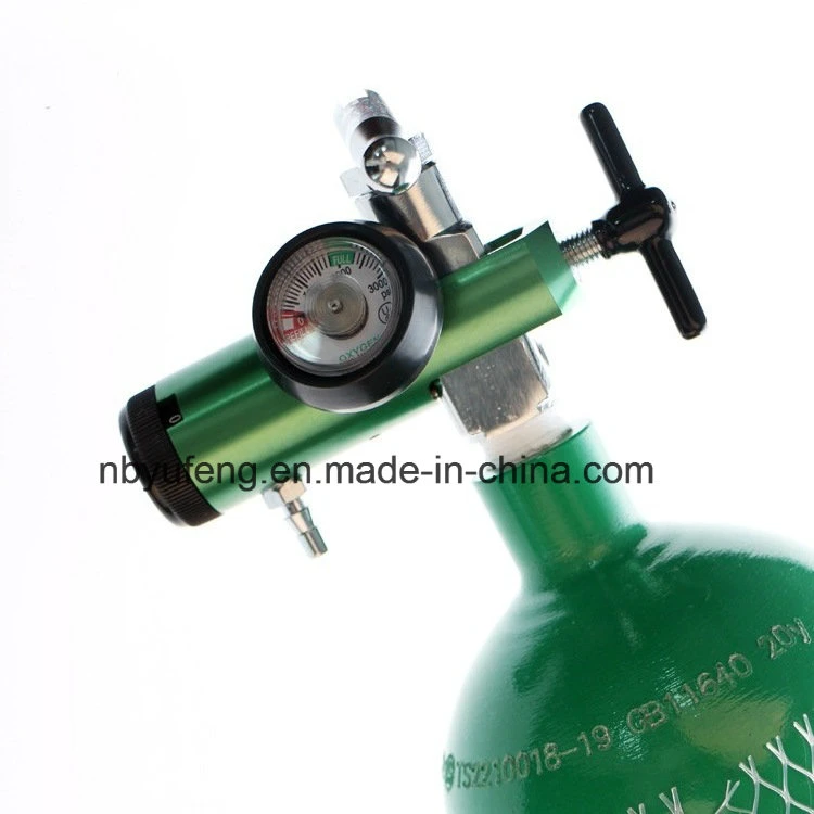 Yf-Cga870PT Click Style Oxygen Flowmeter with Different Medical Gas Adapter