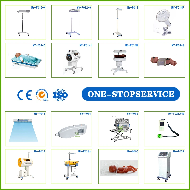 Obstetric Gynecology Medical Equipment/Infant Incubator/Electronic Digital Colposcope/Neonatal Oxygen Hoods/Baby Phototherapy/Cryosurgery/Baby Trolley Bed