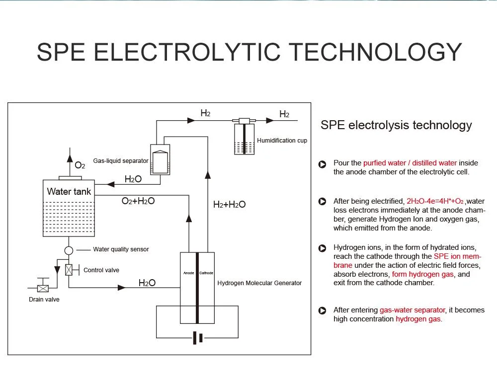 Pem Hydrogen Gas Generation Machine Spe Water Electrolysis Hydrogen Breathing Equipment