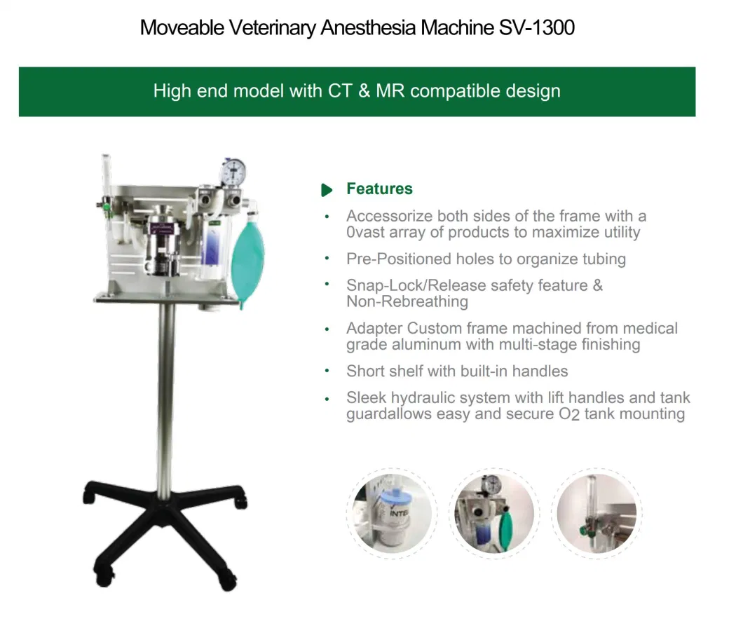 Chinese Manufacturer Medical Veterinary Gas Anesthesia Machine Vet Anesthesia Equipments for Pet Cat Dog Animal