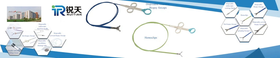 Disposable Endoscopic Electric Snare Device for Polypectomy of Digestive and Respiratory Tracts