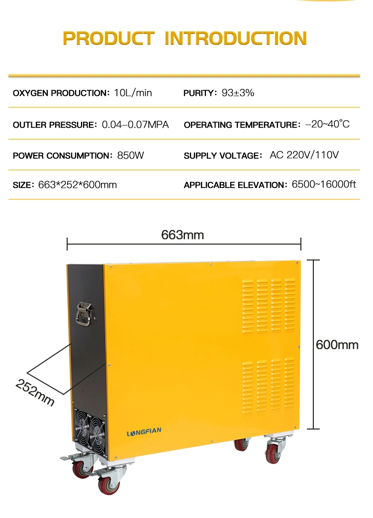 10L Oxygen Generator for Plateau People Increasing Oxygen Saturation