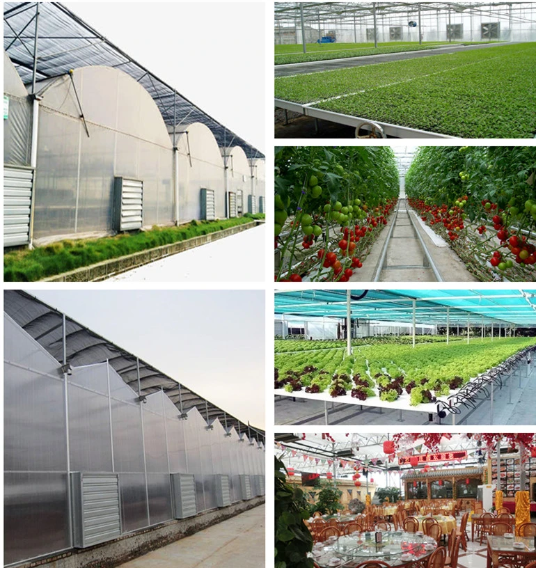 No Welded Assembled Steel Greenhouse Po Film Greenhouse for Vegetables/Medical/Succulents Growing