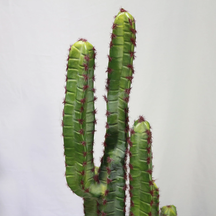 New Style Plastic Saguaro Cactus Buy Artificial Cactus Plant at Toronto Cactus and Succulent Club