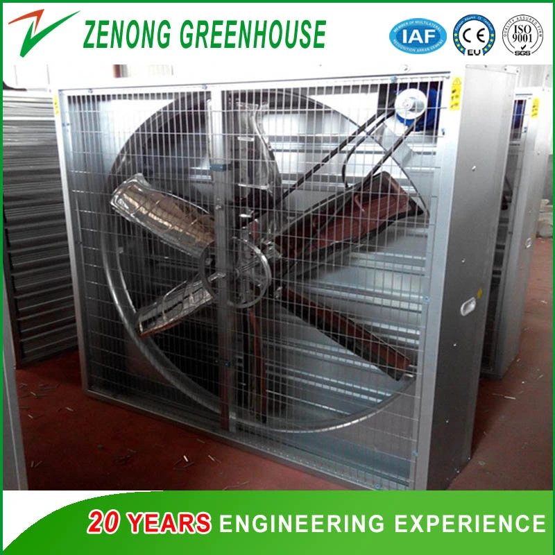 No Welded Assembled Steel Greenhouse Po Film Greenhouse for Vegetables/Medical/Succulents Growing