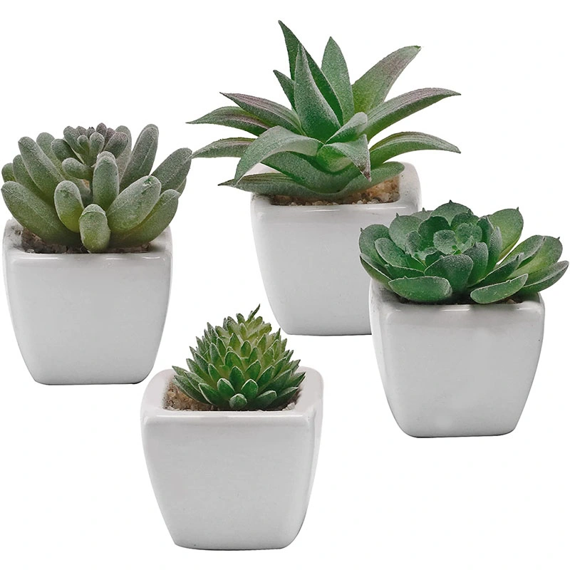 Succulents Plants Artificial, Set of 4 Mini Artificial Succulents Desk Plant Faux Succulents in Pots