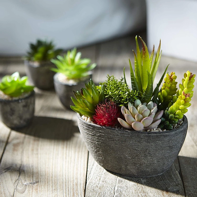 Set of 5 Artificial Succulent Potteds (Includes 10 Plants), Colourful and Decorative Faux Succulent Plants with Stones, Ideal for Home, Office and Outdoor Decor