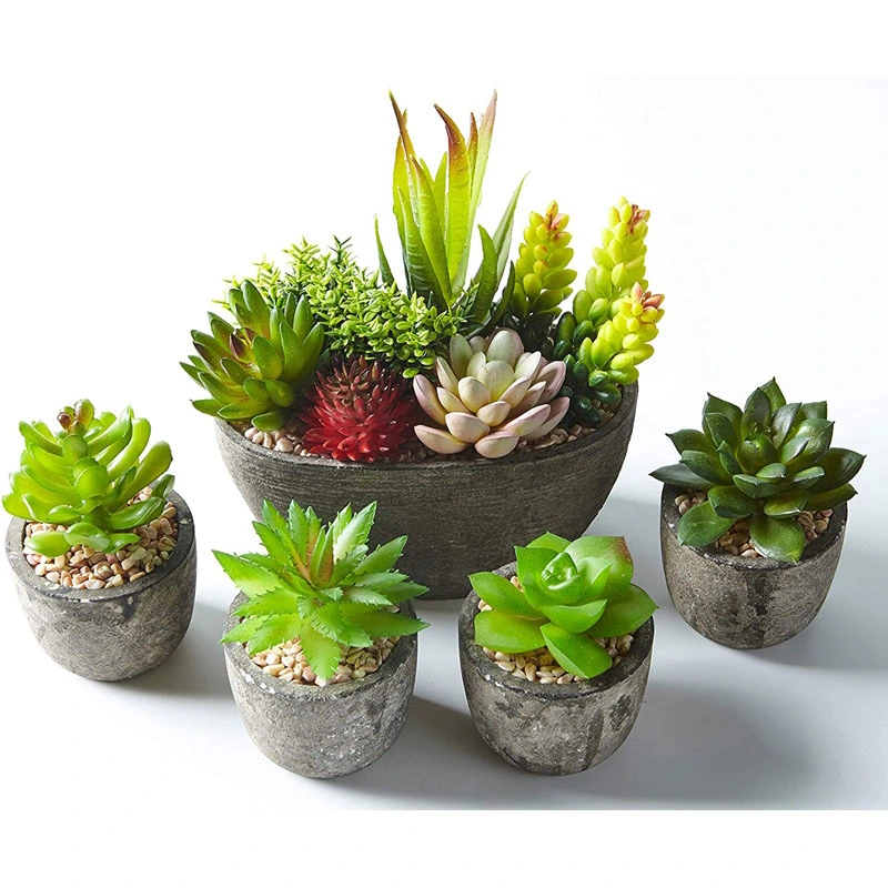 Set of 5 Artificial Succulent Potteds (Includes 10 Plants), Colourful and Decorative Faux Succulent Plants with Stones, Ideal for Home, Office and Outdoor Decor