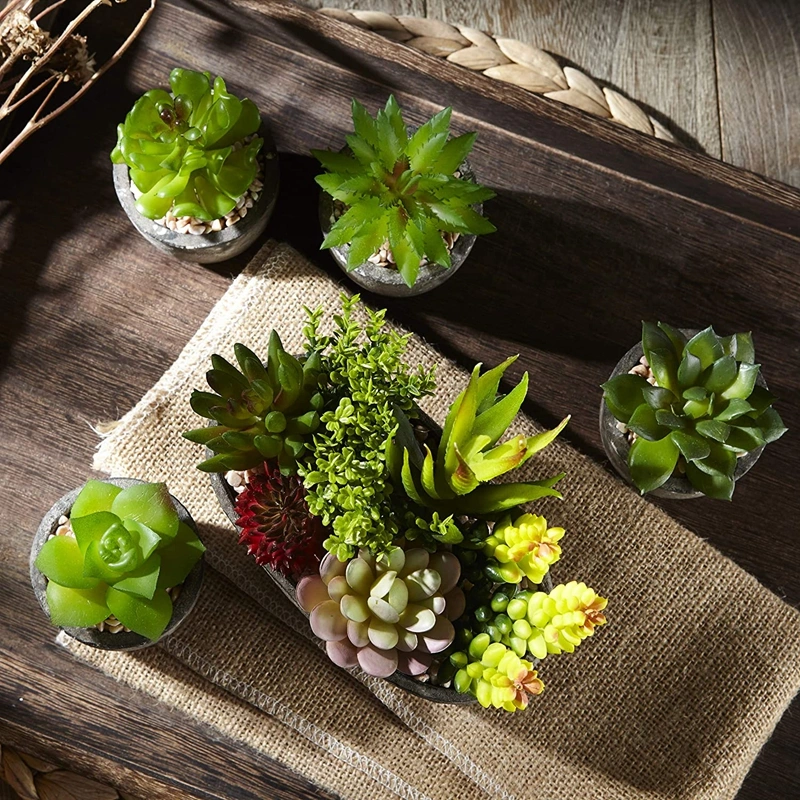 Set of 5 Artificial Succulent Potteds (Includes 10 Plants), Colourful and Decorative Faux Succulent Plants with Stones, Ideal for Home, Office and Outdoor Decor