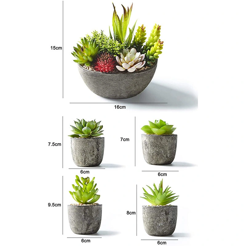 Set of 5 Artificial Succulent Potteds (Includes 10 Plants), Colourful and Decorative Faux Succulent Plants with Stones, Ideal for Home, Office and Outdoor Decor