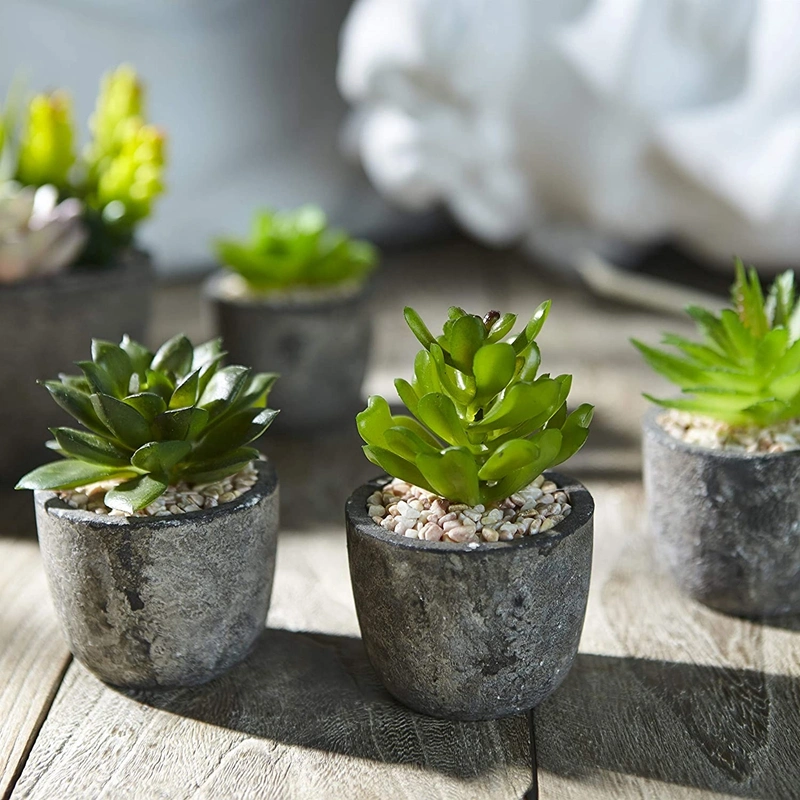 Set of 5 Artificial Succulent Potteds (Includes 10 Plants), Colourful and Decorative Faux Succulent Plants with Stones, Ideal for Home, Office and Outdoor Decor