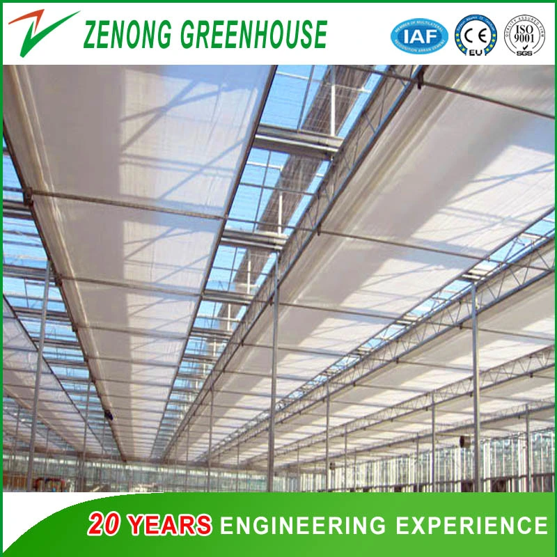 No Welded Assembled Steel Greenhouse Po Film Greenhouse for Vegetables/Medical/Succulents Growing