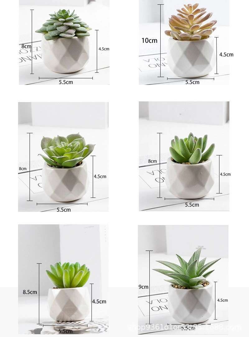 Mini Realistic Fake Succulents with Ceramics Pots for Home Decoration