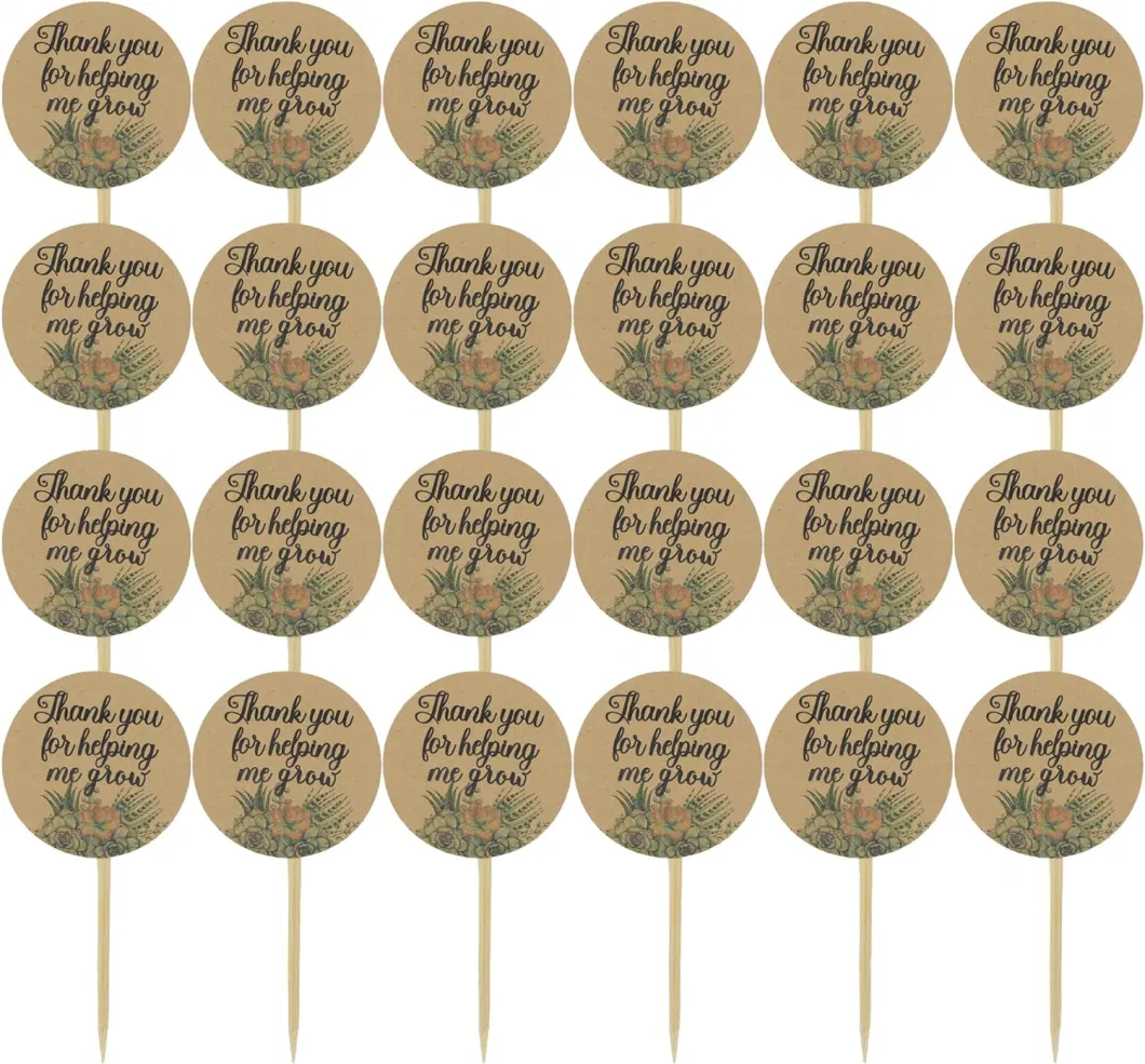 Plant Markers Wooden Plants Labels Succulent Labels Wooden Plant Markers for Vegetable Flowers Garden Potted Plants