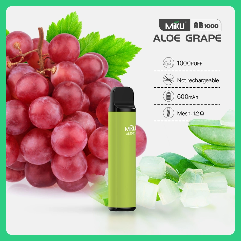 2023 Best-Selling Disposable Vape with 1000 Puffs and Fruit Flavors at Wholesale Price