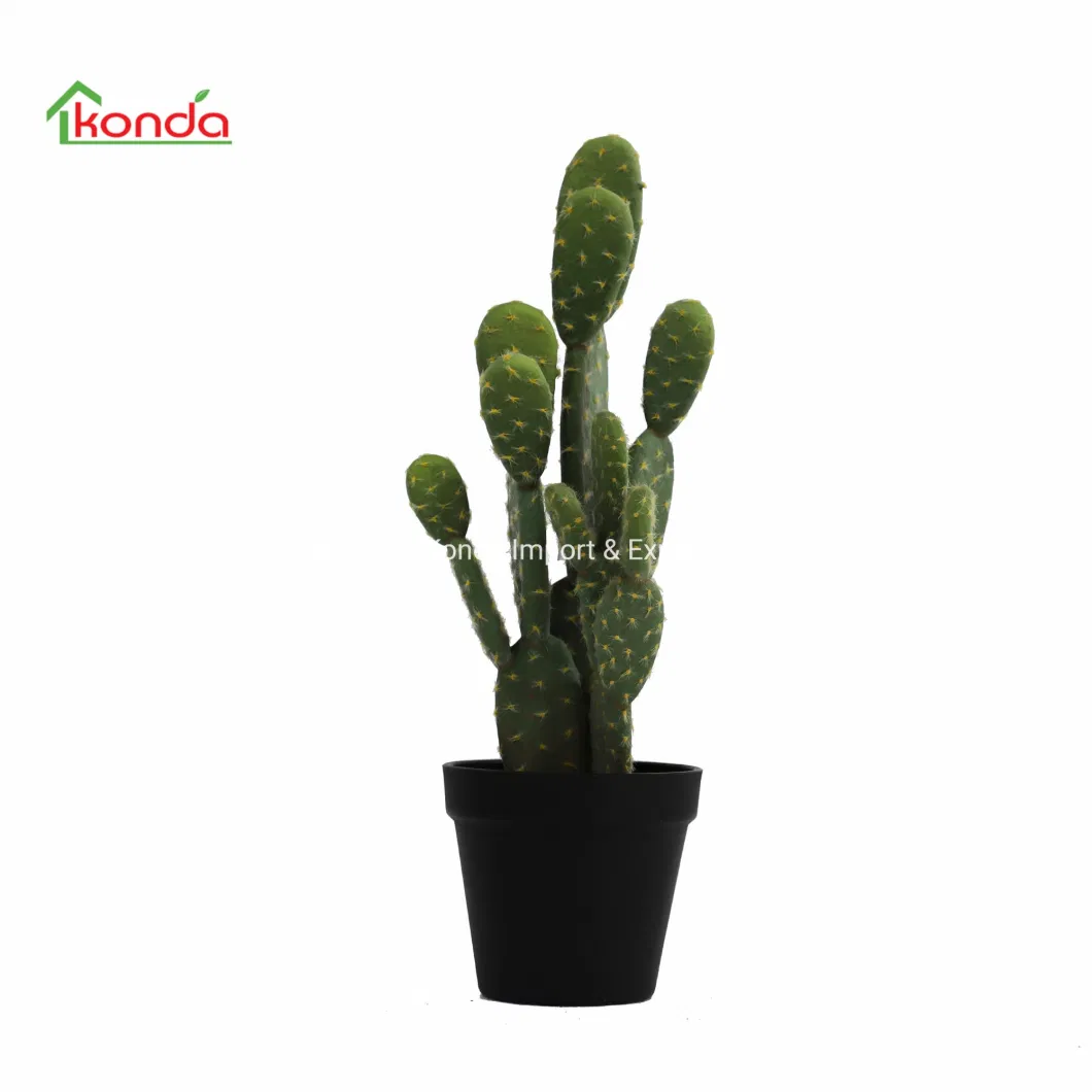 Home Decoration Real Touch Green Plants Potted Simulation Succulents Artificial Cactus