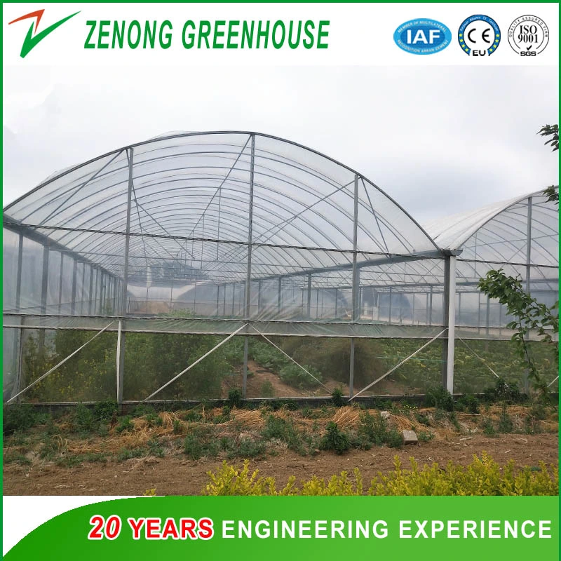 Plastic Multi-Span/Single-Span Greenhouse for Planting Vegetables/Medical /Succulents/Meaty Flowers