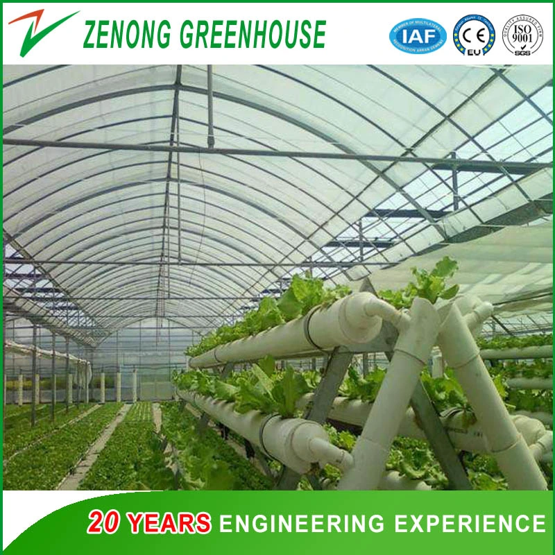 No Welded Assembled Steel Greenhouse Po Film Greenhouse for Vegetables/Medical/Succulents Growing