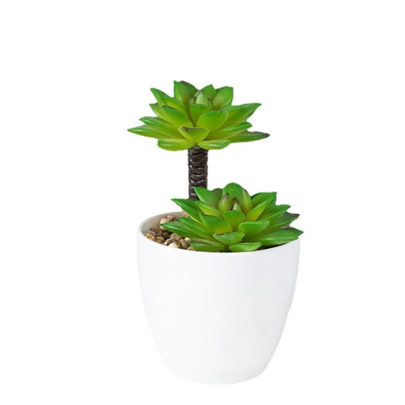 Small Succulents Plants Artificial with Plastic Potted Set of 4