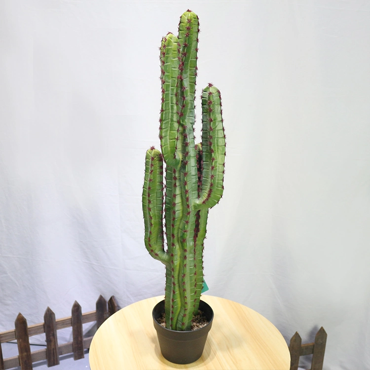 New Style Plastic Saguaro Cactus Buy Artificial Cactus Plant at Toronto Cactus and Succulent Club