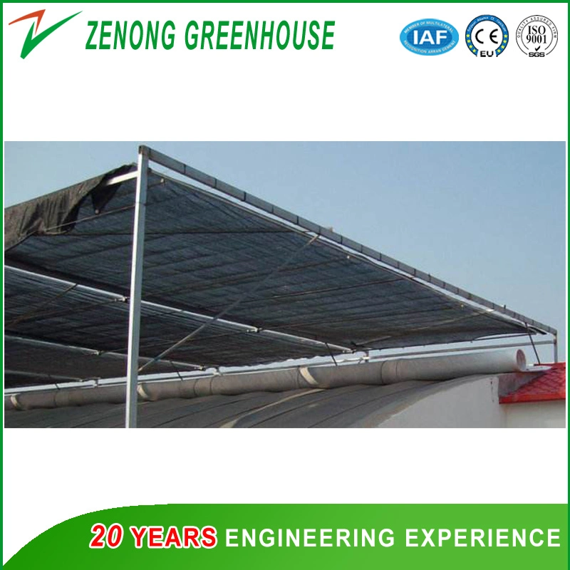 No Welded Assembled Steel Greenhouse Po Film Greenhouse for Vegetables/Medical/Succulents Growing