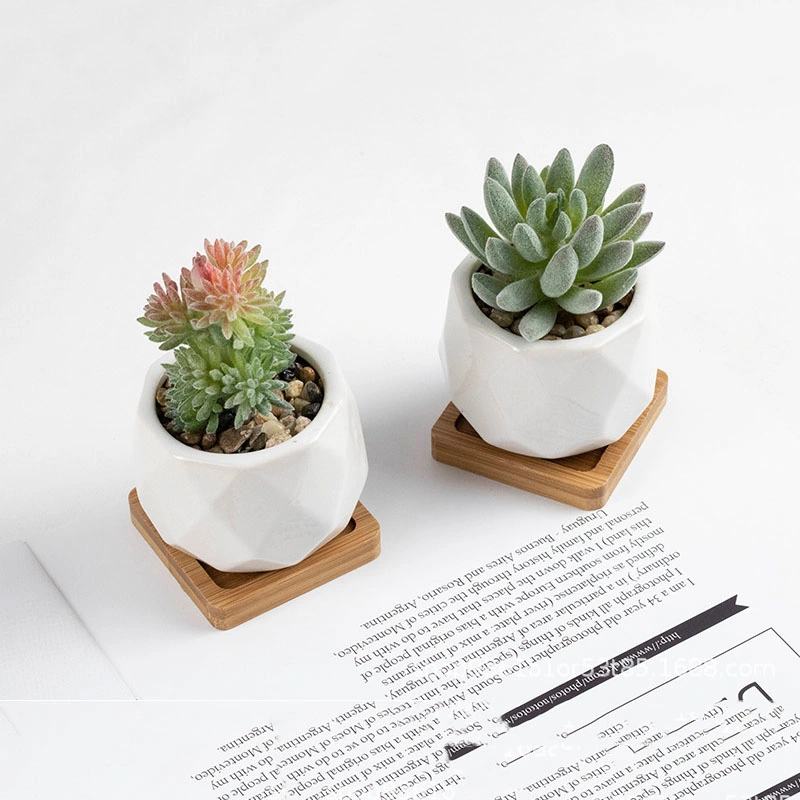 Mini Realistic Fake Succulents with Ceramics Pots for Home Decoration