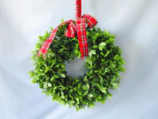 Christmas Wreath Artificial Plastic Plants Succulent Plants for Wall Door Decoration