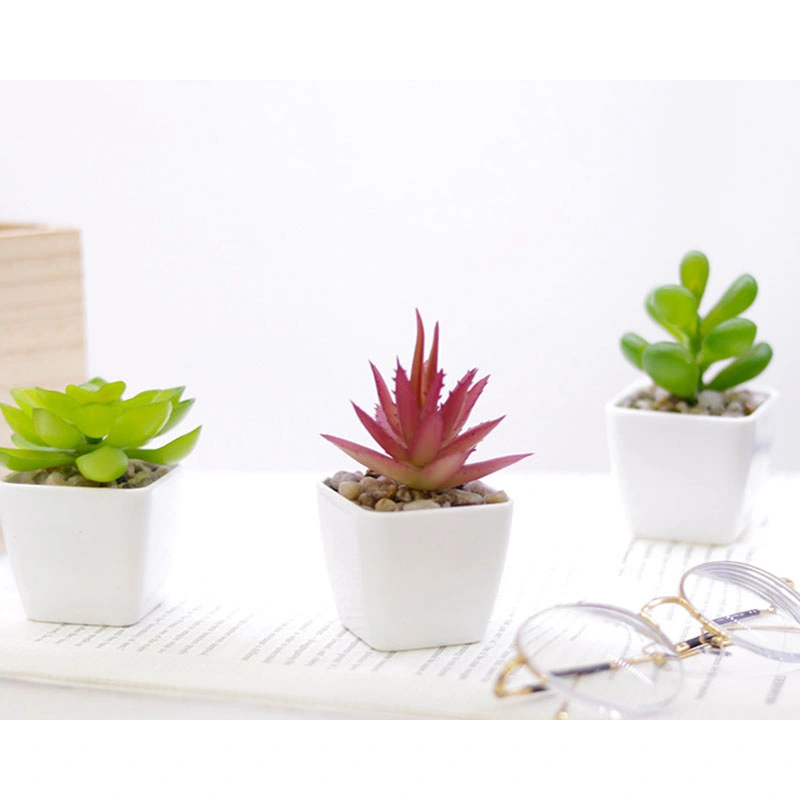 Fake Succulent Small Plants Artificial Faux Succulents Mini Potted