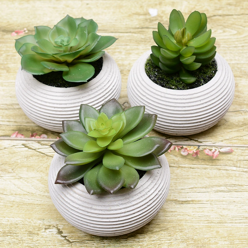 Succulent Ceramic Plant Pot Planters