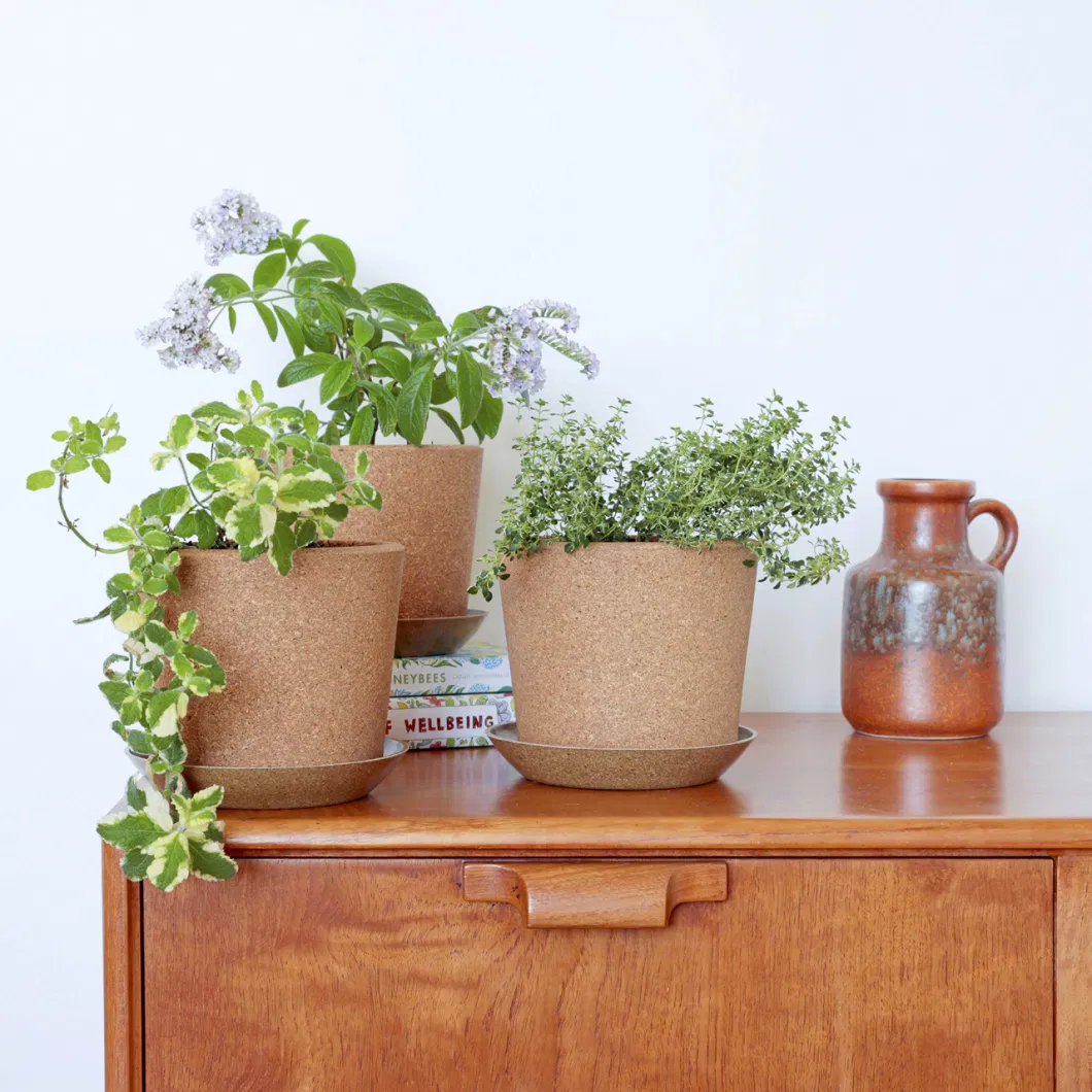 Set of 3 Cork Plant Pots 5.5&quot; + Rice Hull Saucers - Drainage Hole - Garden Planters for Indoor and Outdoor Flowers, Herbs, Succulents - Environmentally Friendly