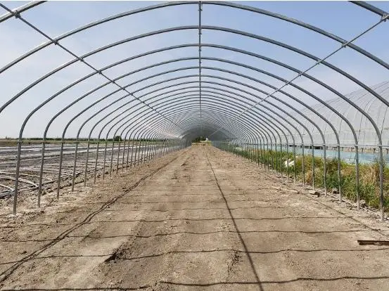 Complete Set of Greenhouse Frames Made of Galvanized Steel for Placing Succulent Plants