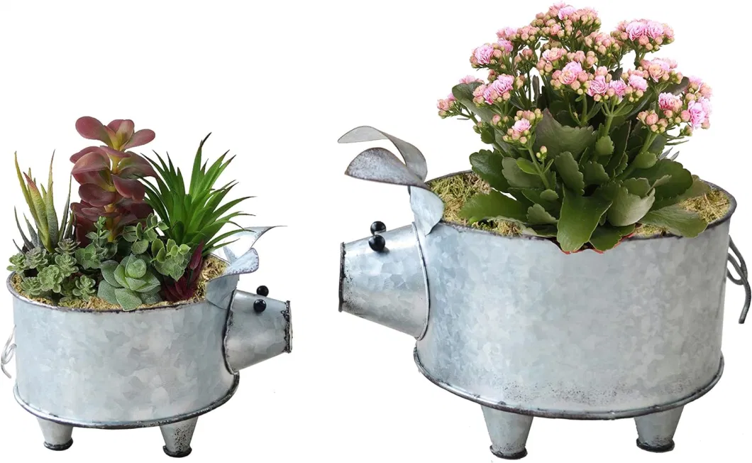 Galvanized Metal Pig Succulent Planter for Storage or Greenery