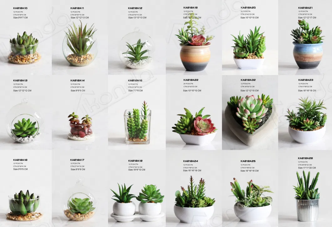 Wholesale Faux Mini Plant Cute Artificial Succulents