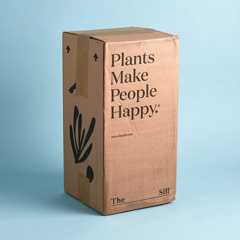 Custom Succulent Packaging Live Plant Kraft Paper Carton Cardboard Plants Shipping Box