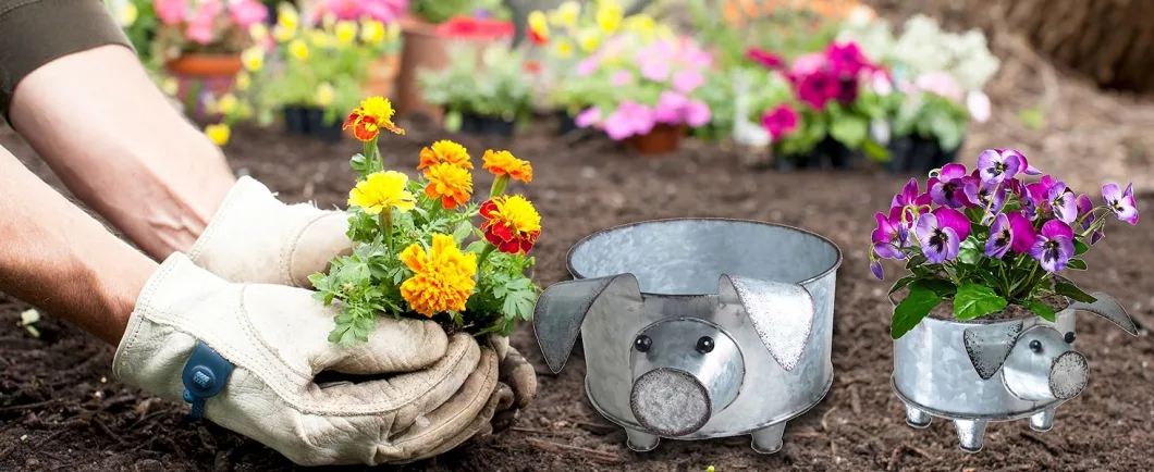 Galvanized Metal Pig Succulent Planter for Storage or Greenery