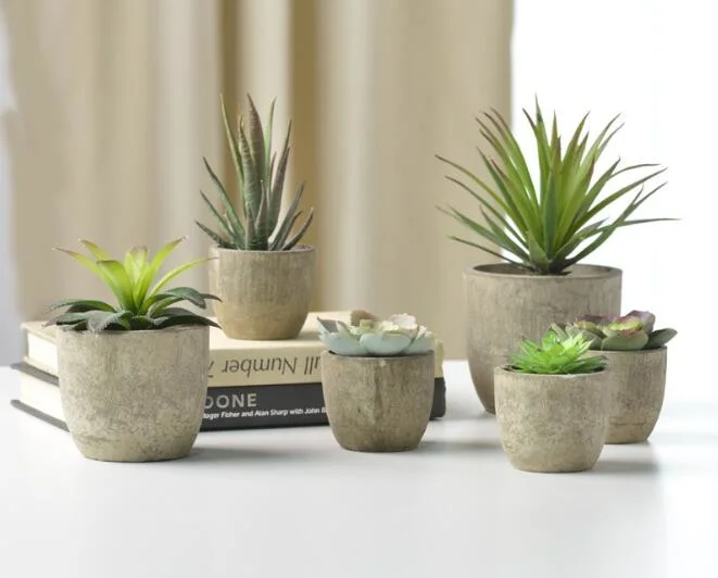 Home Decorative Artificial Potted Succulent Plant