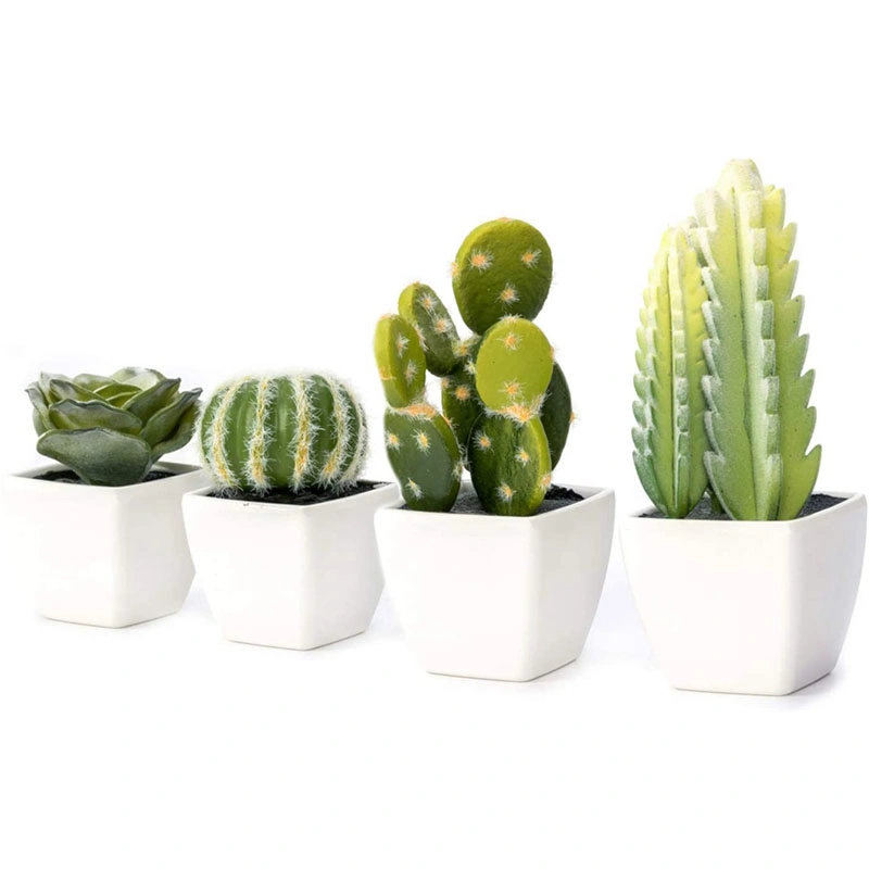 Set of 4 Artificial Mini Succulent &amp; Cactus Plants in White Cube-Shaped Pots