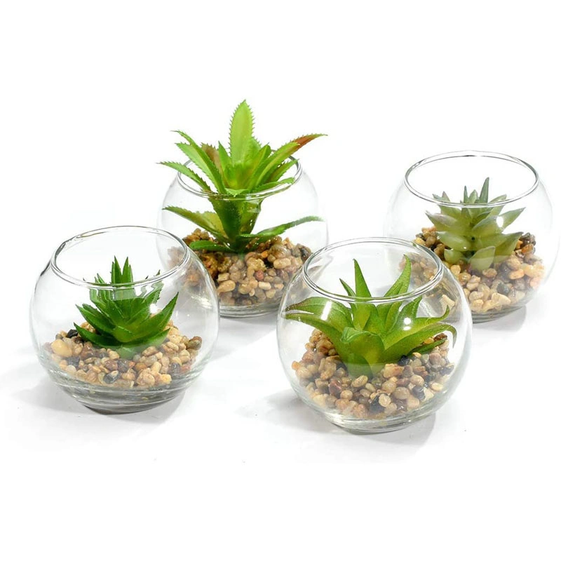 Set of 4 Decorative Mini Modern Design Clear Round Artificial Succulent Plant Glass Display Vases