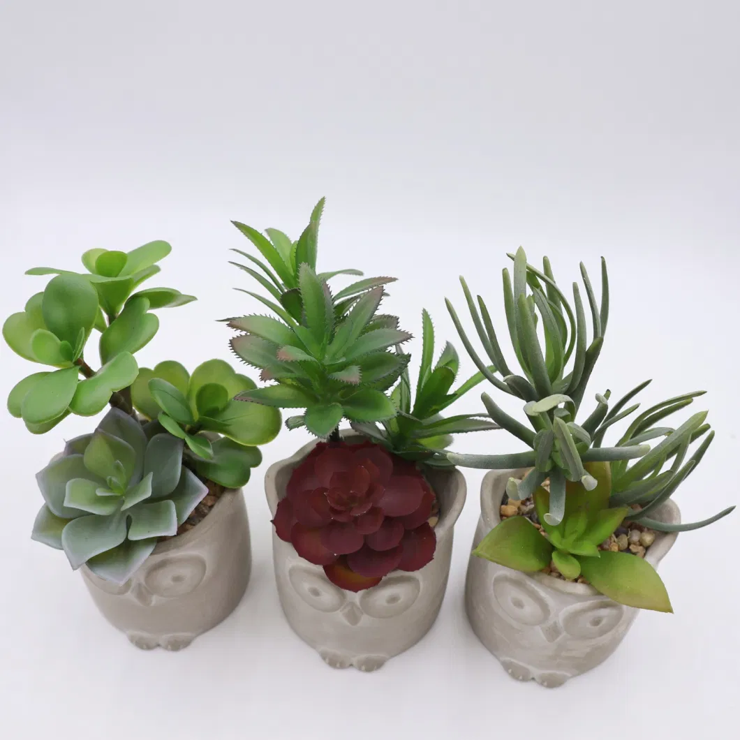 China Wholesale Artificial Plants Small Size Potted Succulents for Home Decoration