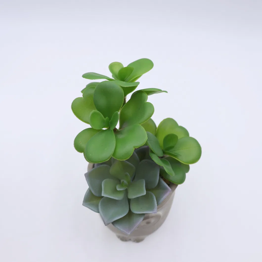 China Wholesale Artificial Plants Small Size Potted Succulents for Home Decoration