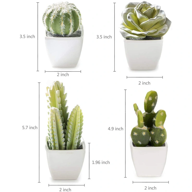 Set of 4 Artificial Mini Succulent &amp; Cactus Plants in White Cube-Shaped Pots