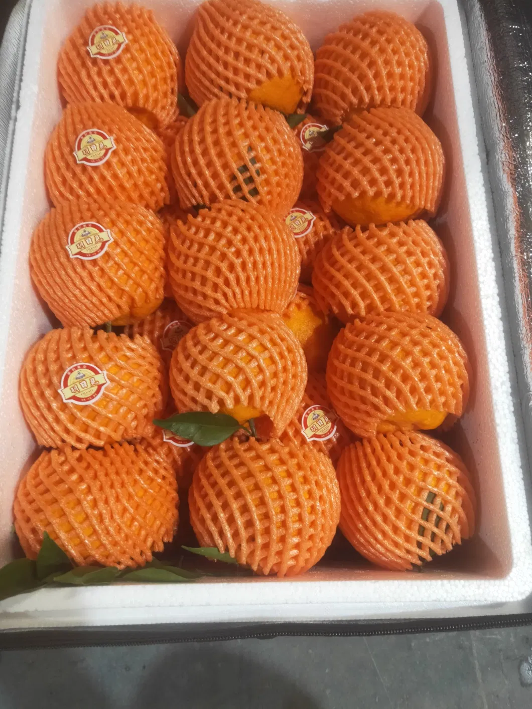 Premium Chinese Mandarin Orange - Fresh and Succulent