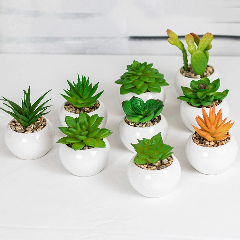 Potted Fake Succulent Small Plants Artificial Faux Succulents