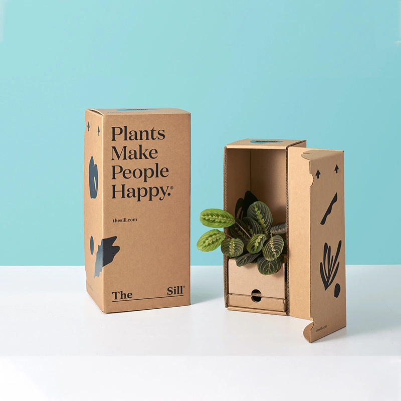 Custom Succulent Packaging Live Plant Kraft Paper Carton Cardboard Plants Shipping Box