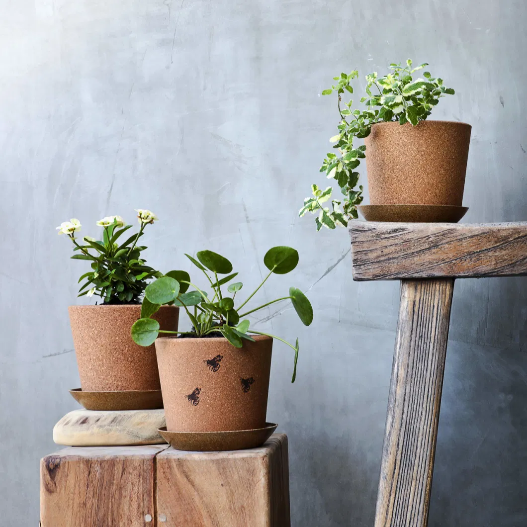 Set of 3 Cork Plant Pots 5.5&quot; + Rice Hull Saucers - Drainage Hole - Garden Planters for Indoor and Outdoor Flowers, Herbs, Succulents - Environmentally Friendly