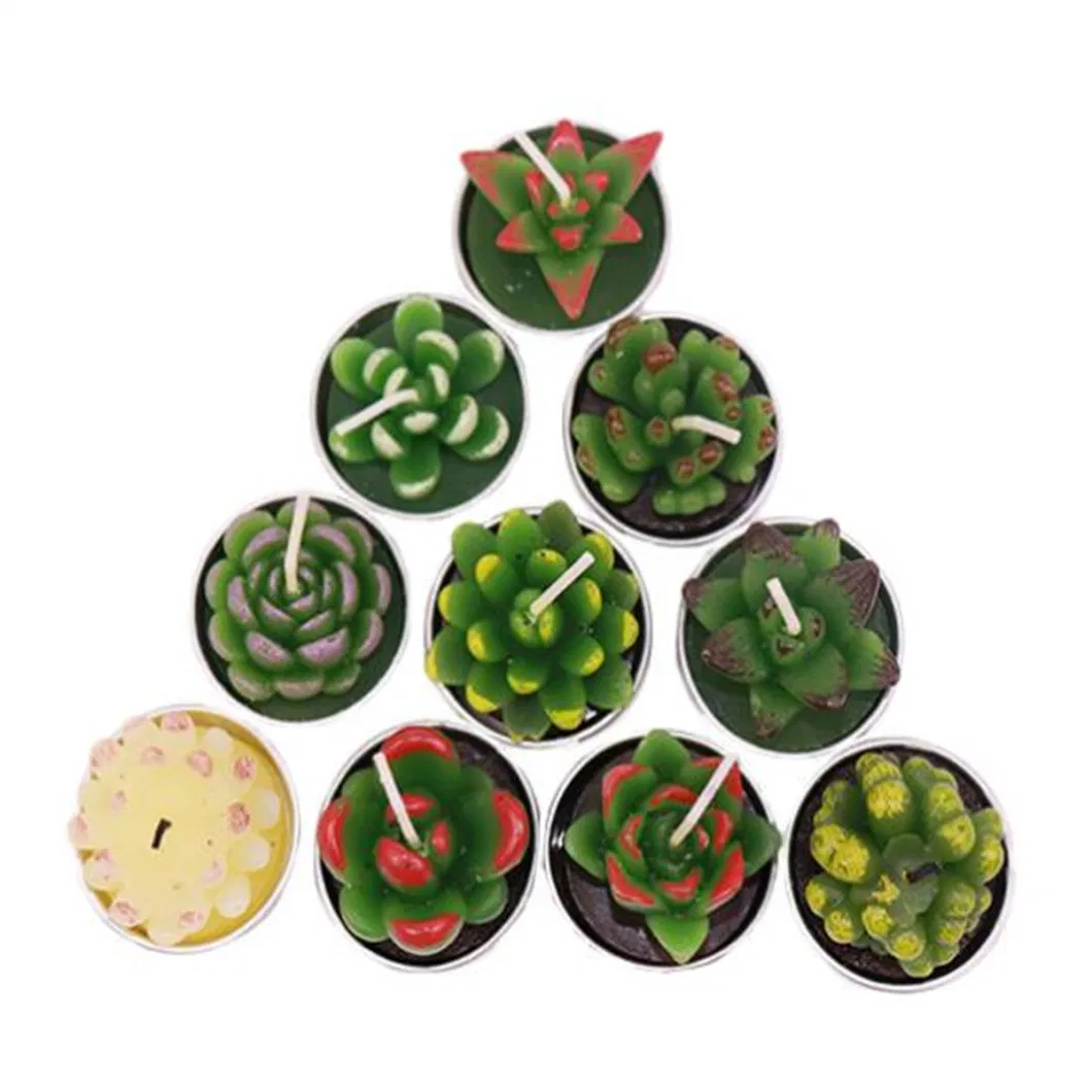 Hot Sale Cactus Cacti Wax Candle