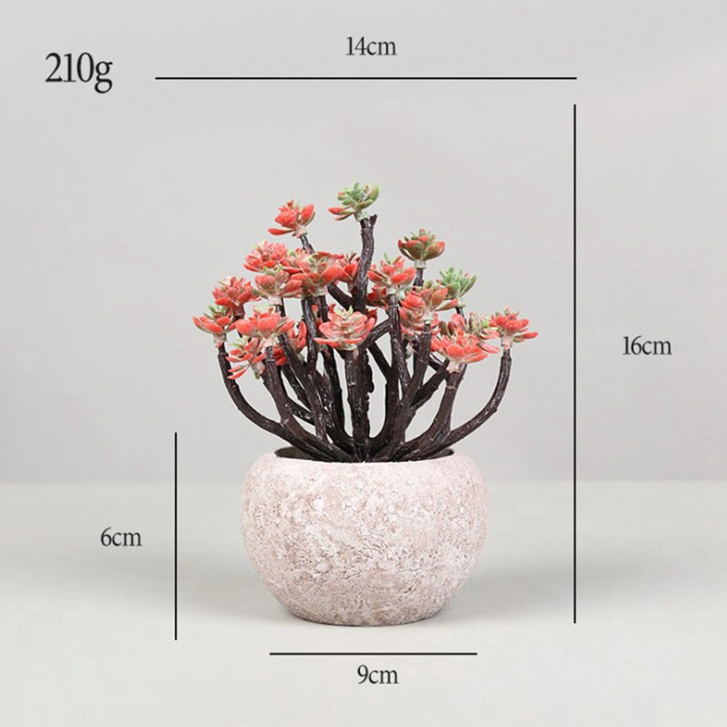 Set of 3 Artificial Succulent Plants in Pulp Pots