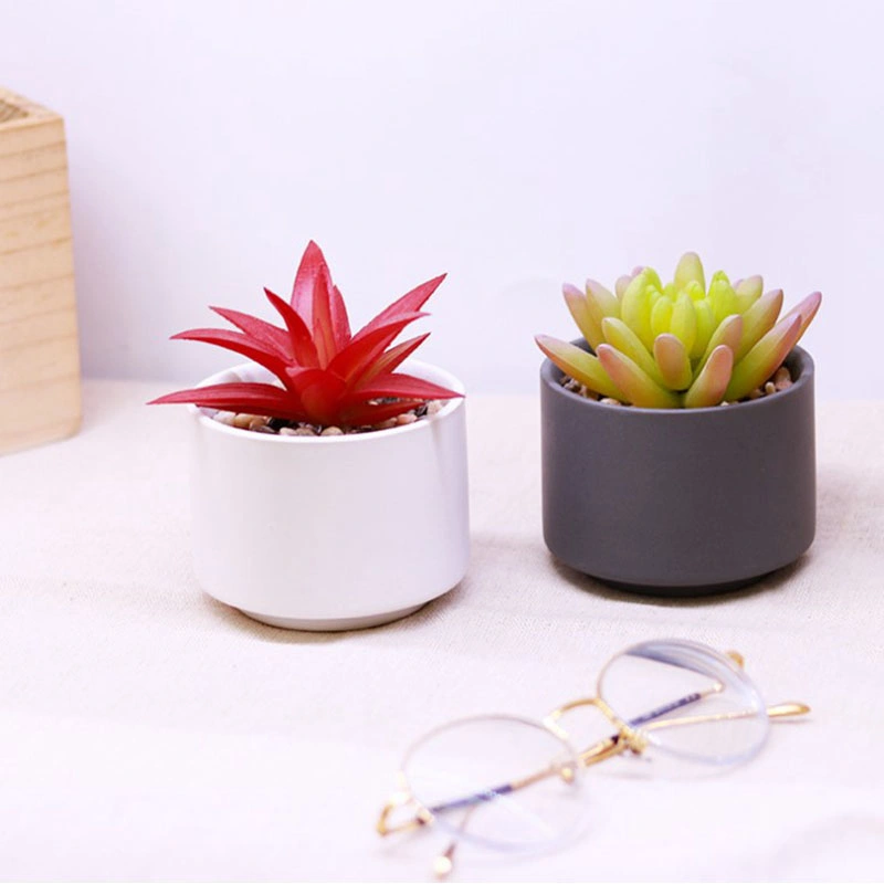 Artificial Plants Mini Succulent Flowers in Ceramics Pot