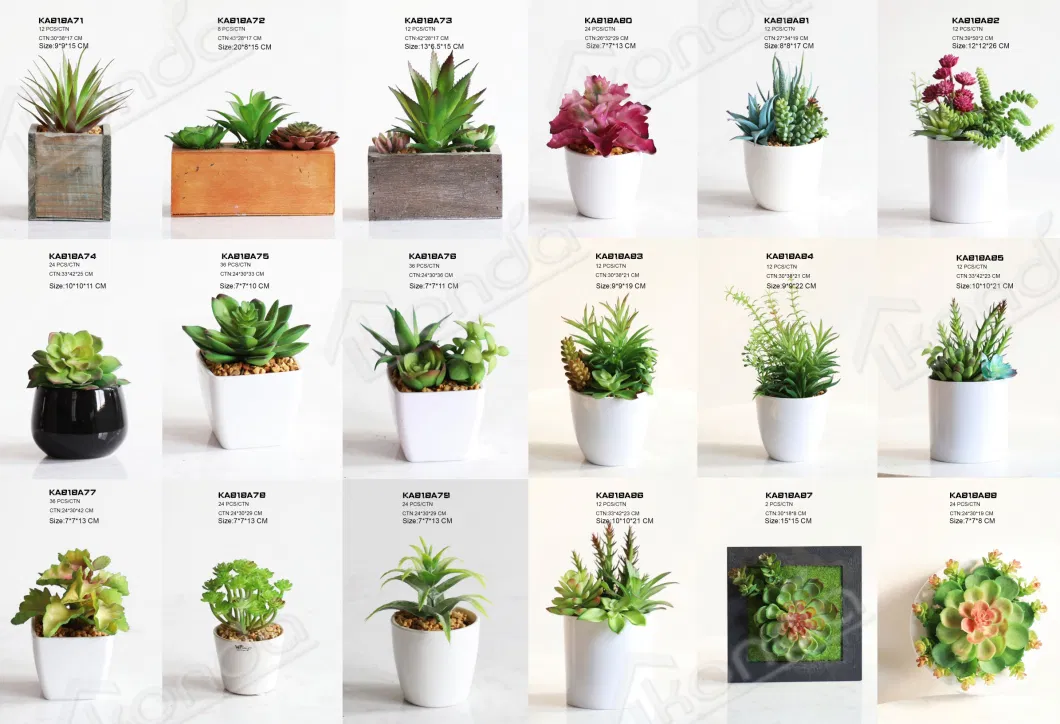 Wholesale Faux Mini Plant Cute Artificial Succulents